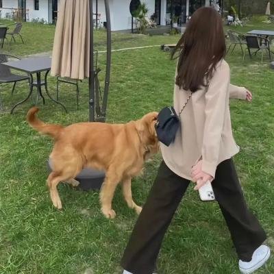 花园碎尸案